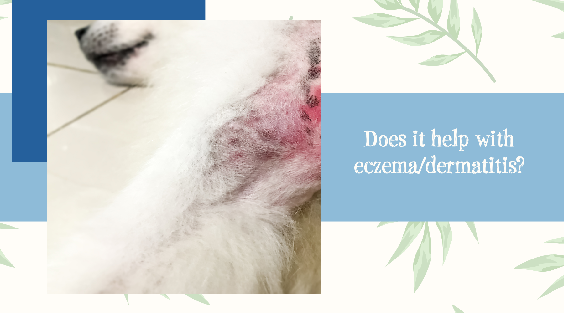Does it help with eczema/dermatitis? Anicura Natural Pet Solutions