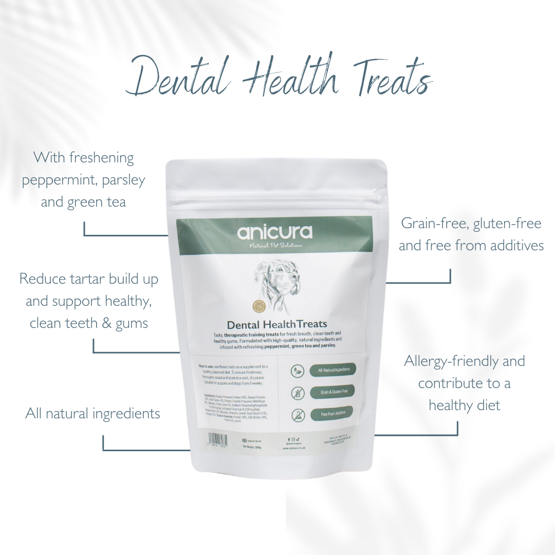 Dental Health Dog Treats (2 Pack)