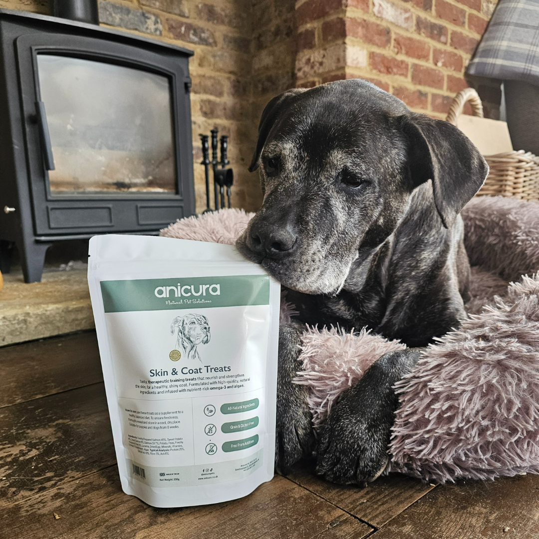 Skin and Coat Dog Treats (2 Pack)