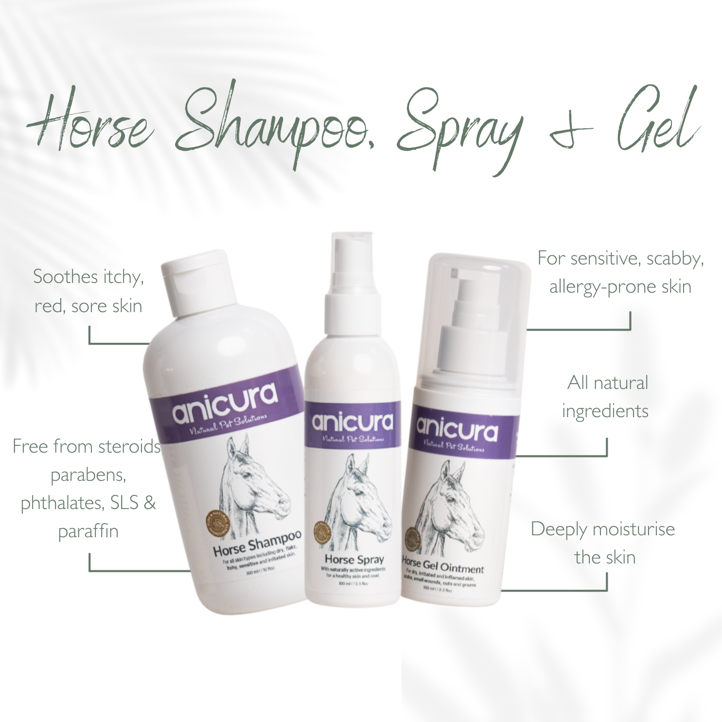 The Horse Total Care Gift - FREE Hoof Oil & Tote Bag!