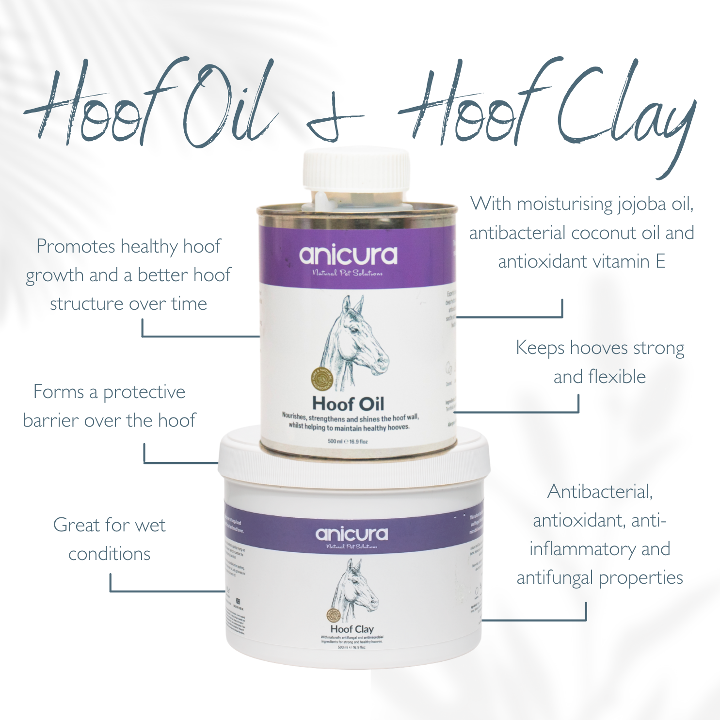 The Horse Stocking - FREE Hoof Oil & Tote Bag!