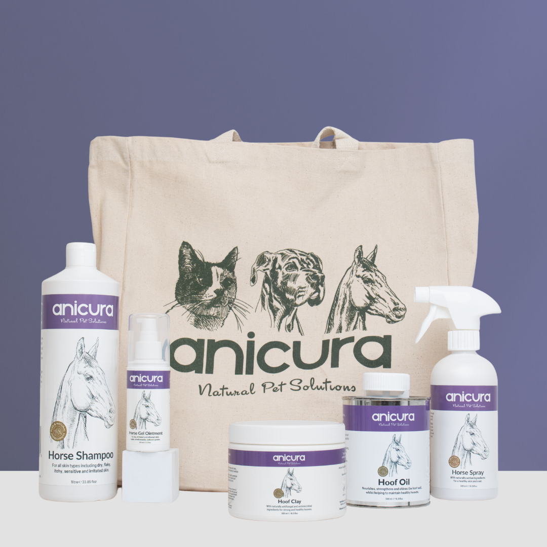 The Horse Total Care Gift - FREE Hoof Oil & Tote Bag!