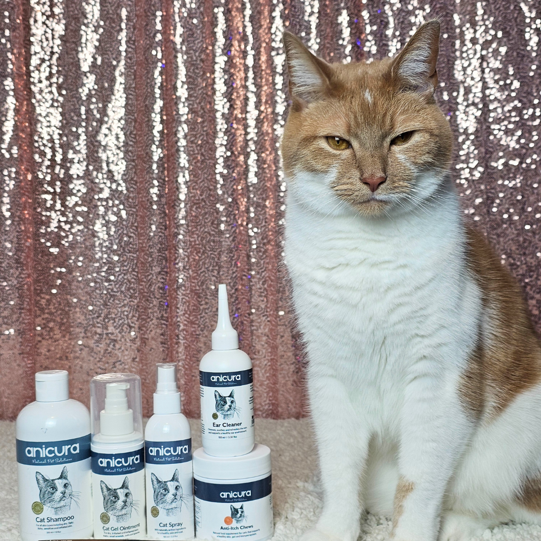 The Cat Total Care Gift - FREE Anti-Itch Chews & Tote Bag!