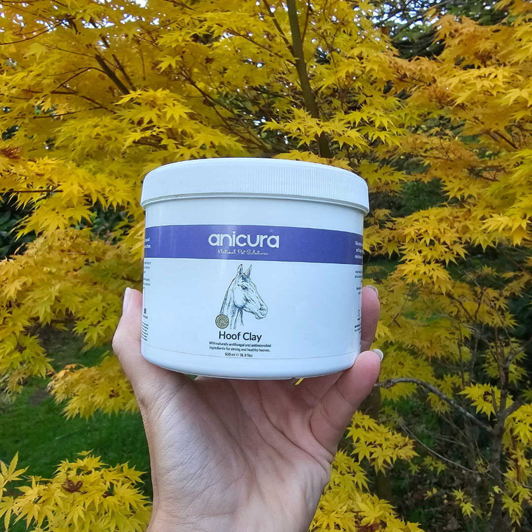 Hoof Clay