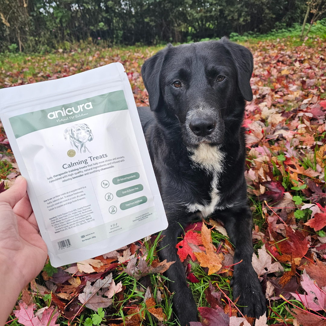 Dental Health Dog Treats (2 Pack)