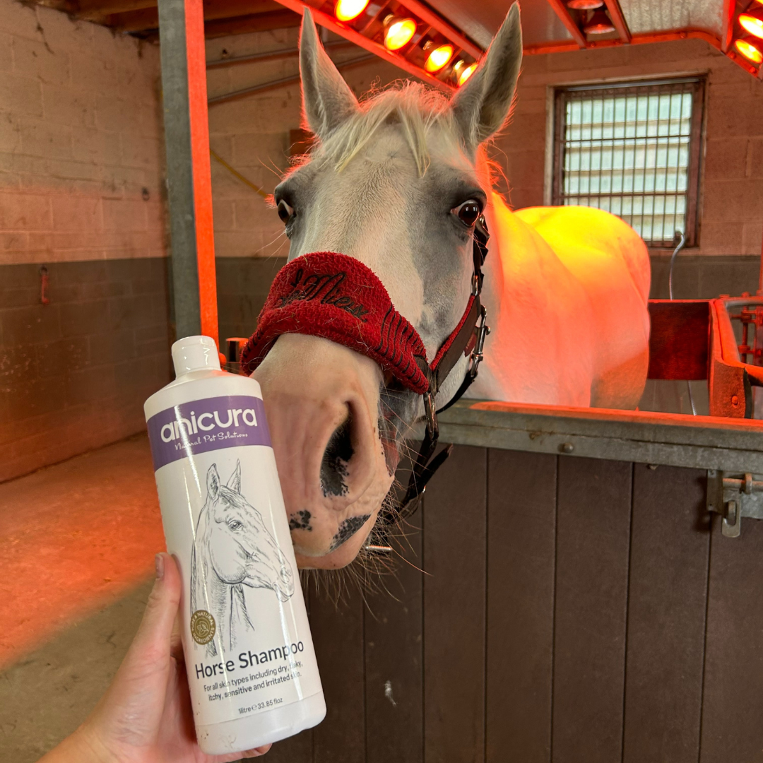 Eventing Essentials