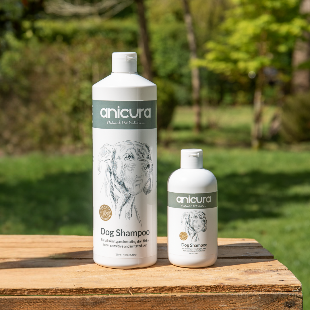 Dog Shampoo