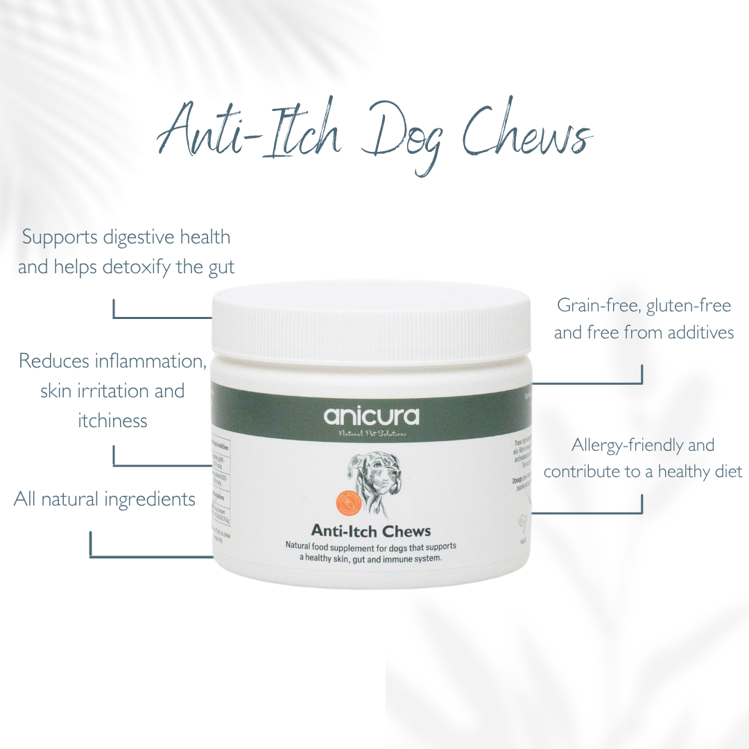 Anti-Itch Dog Chews Twin Pack