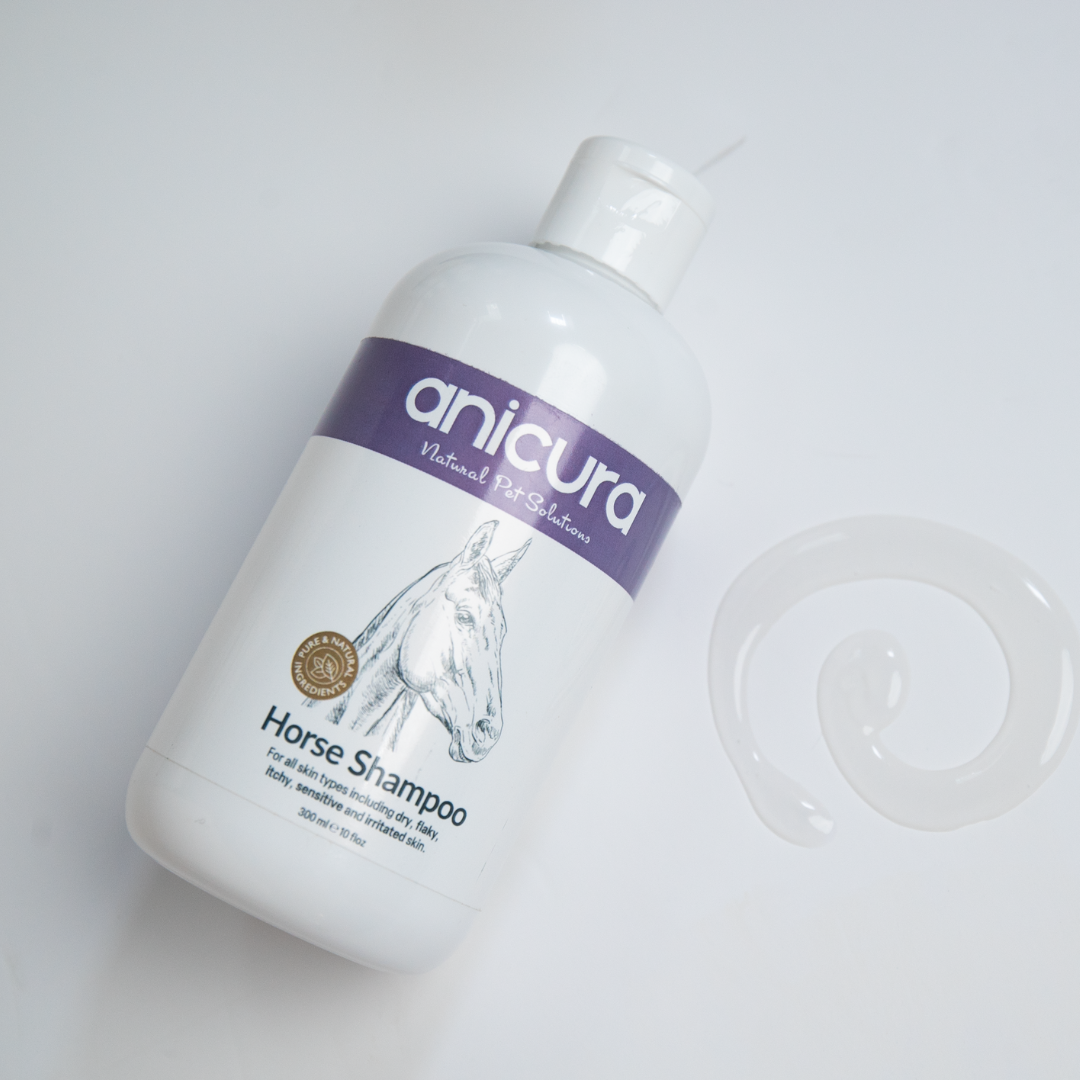 Horse Shampoo