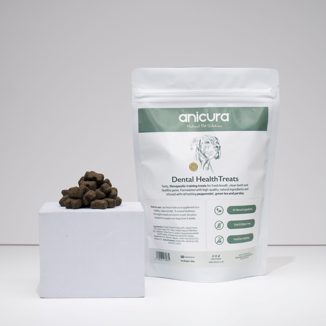 Dental Health Dog Treats (2 Pack)