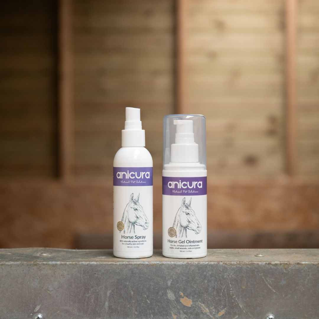 Horse Duo Pack