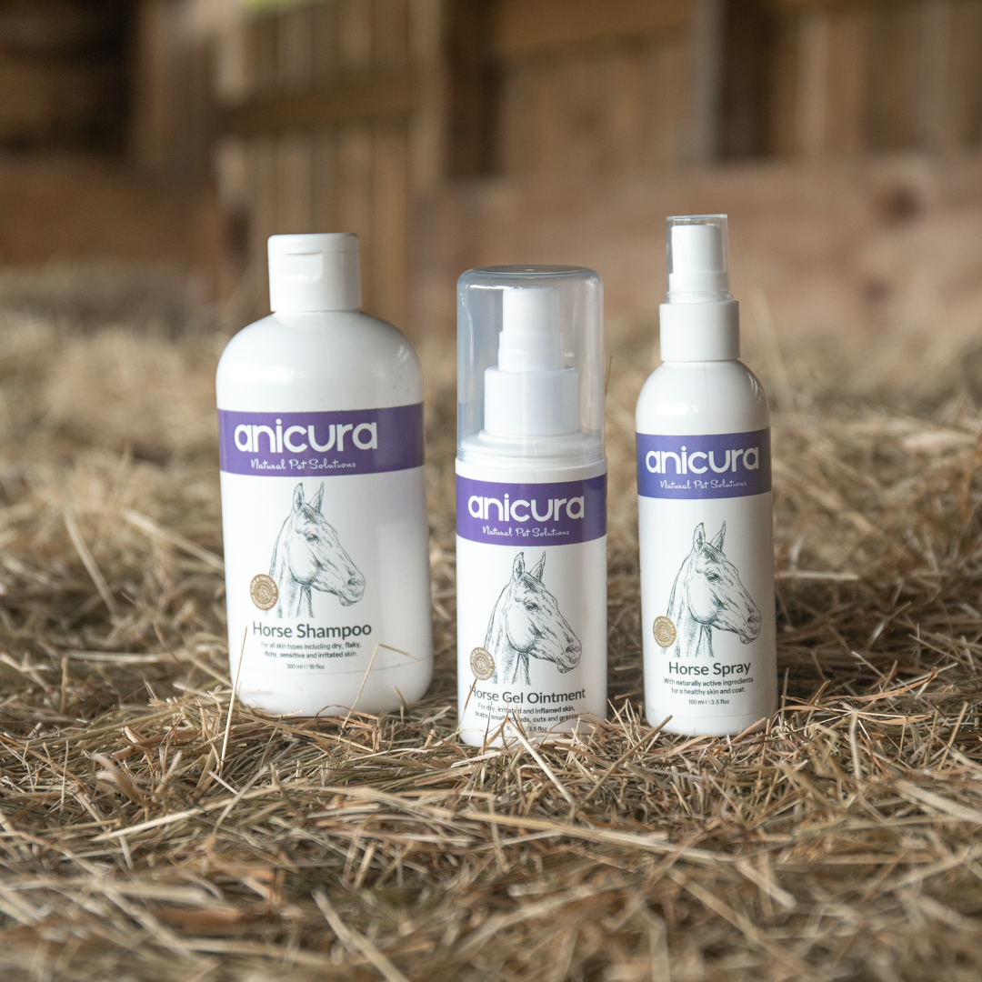 Horse Skin Rescue Bundle