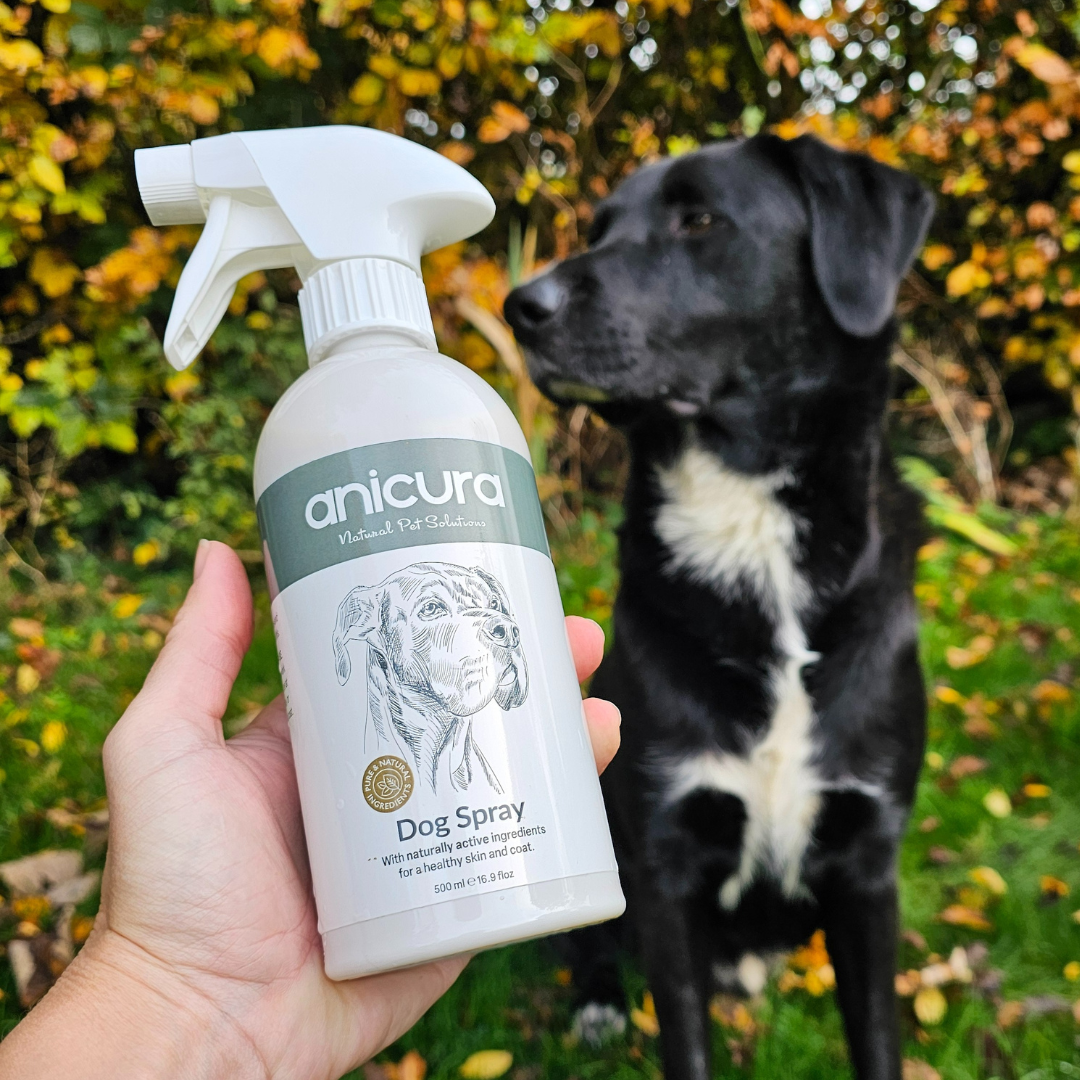 Dog Spray