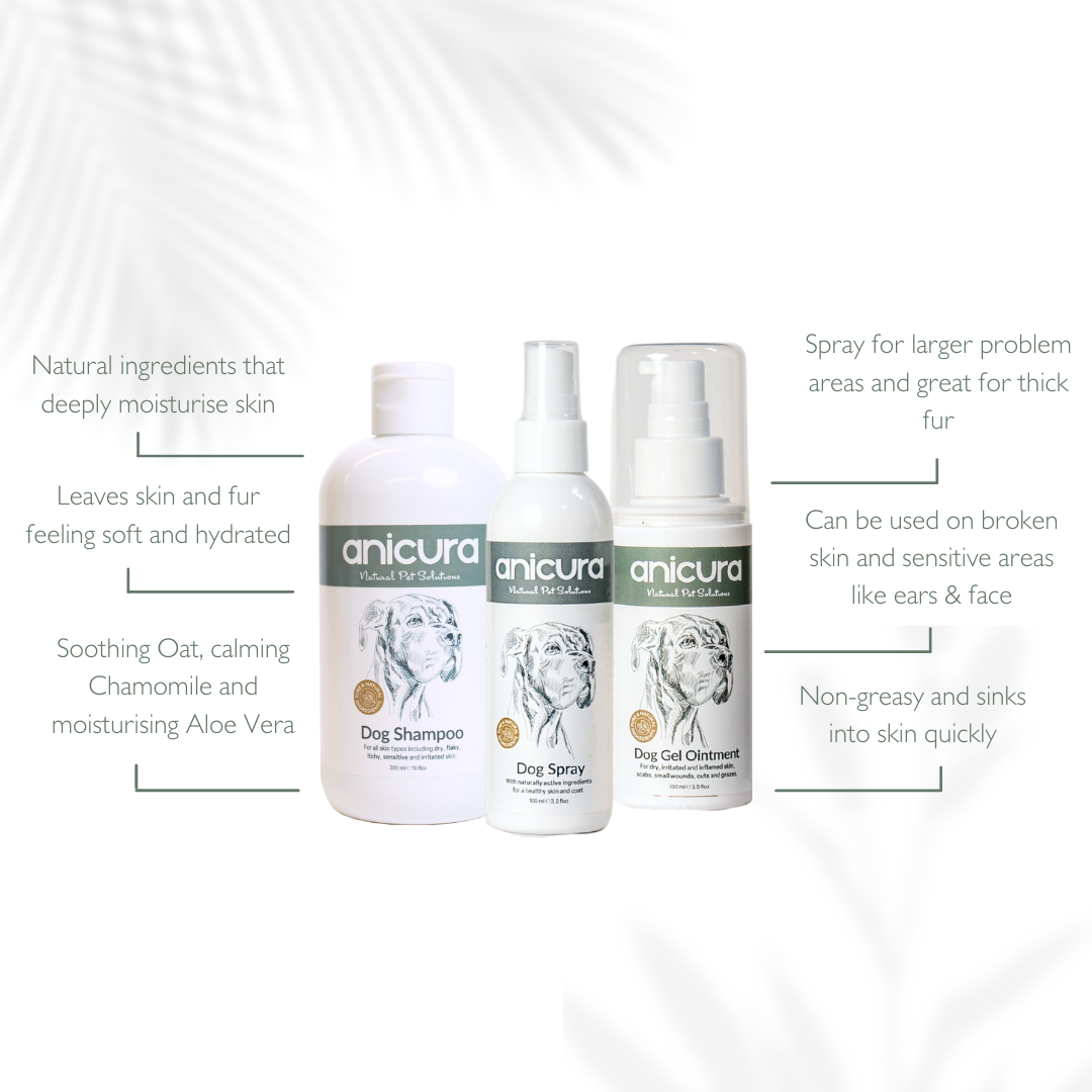 Dog Skin Rescue Kit
