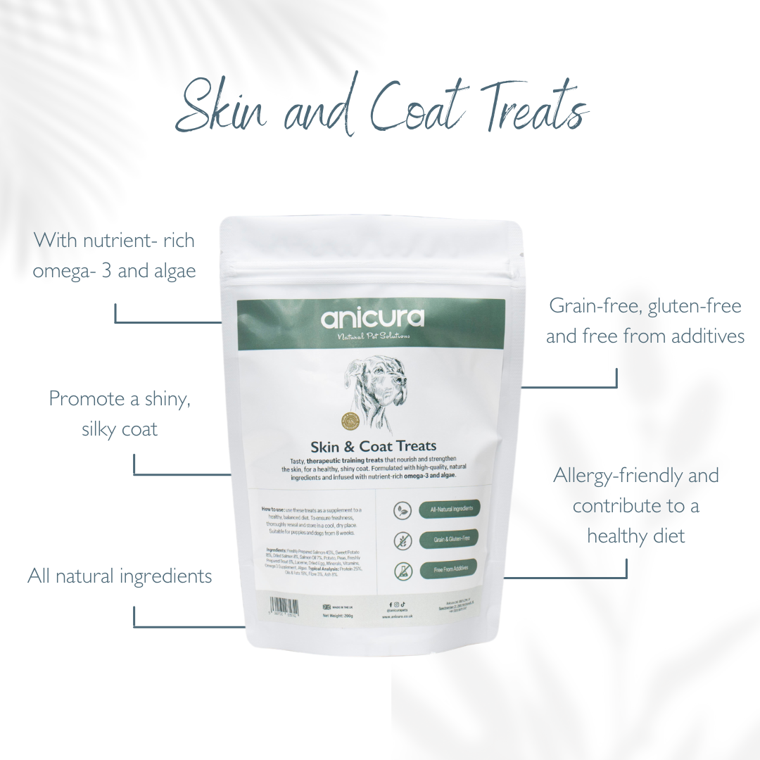 Skin & Coat Dog Treats