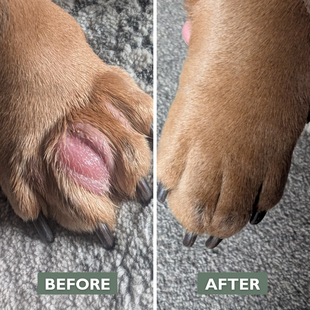Dog Gel Twin Pack