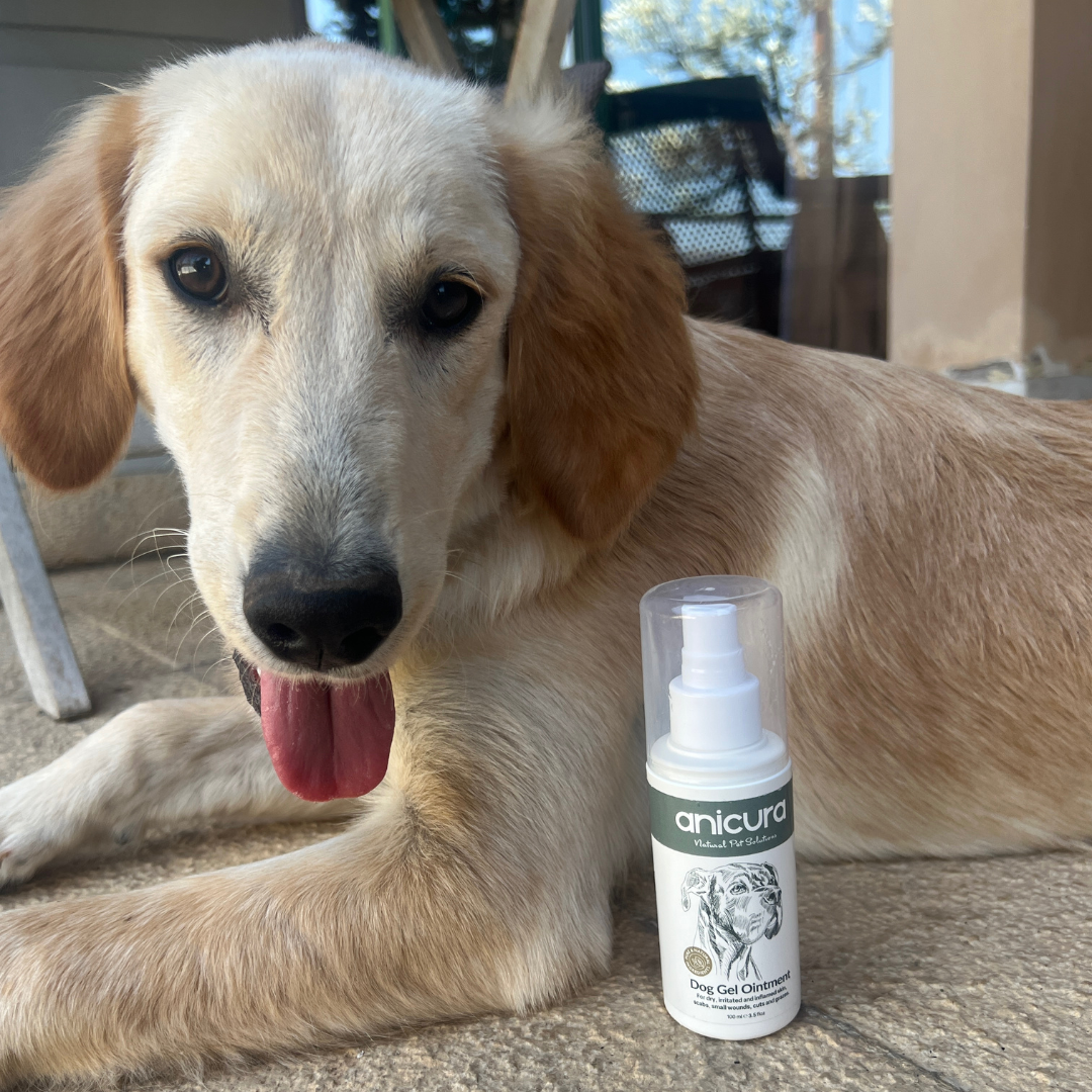 Dog Gel Twin Pack