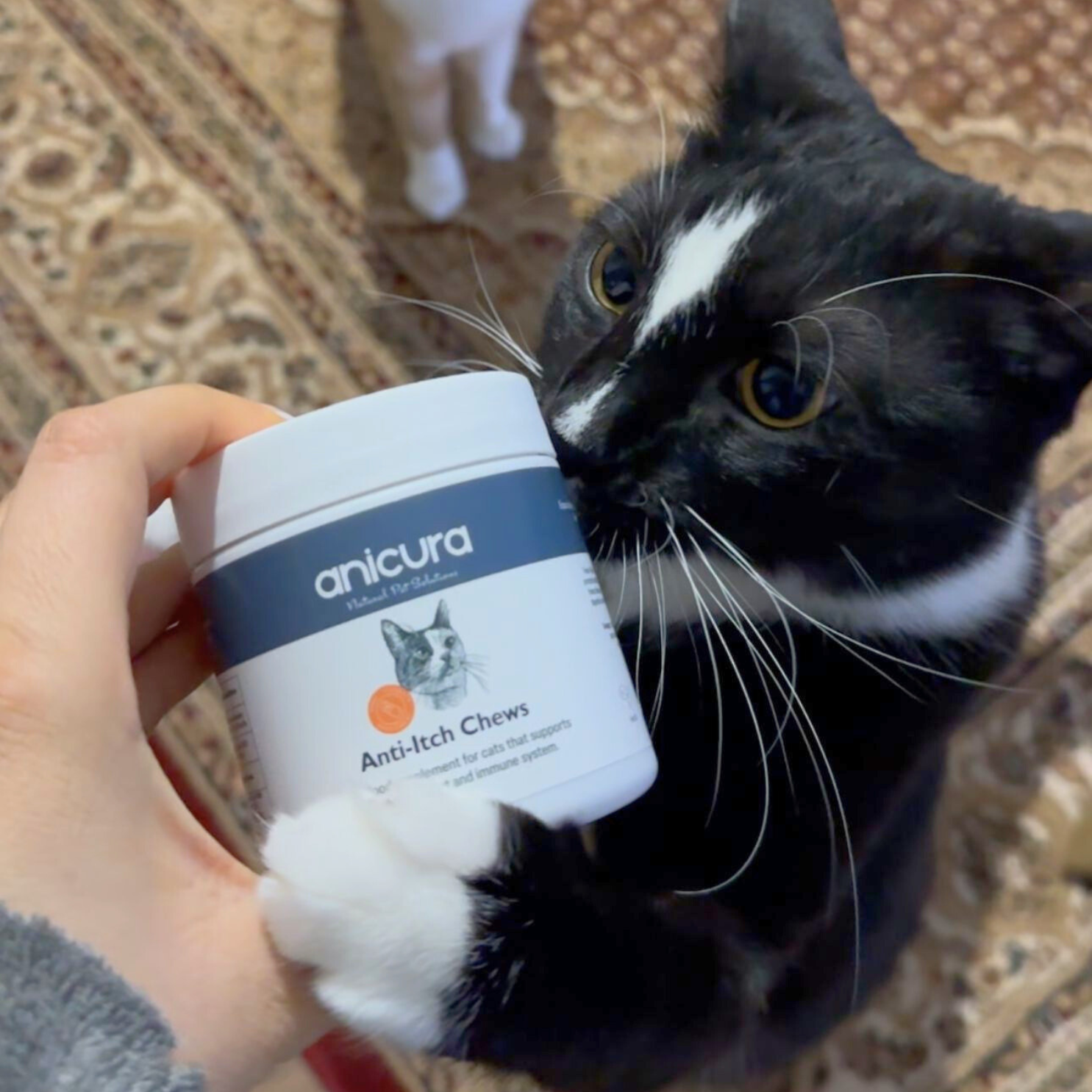 Anti-Itch Cat Chews Twin Pack