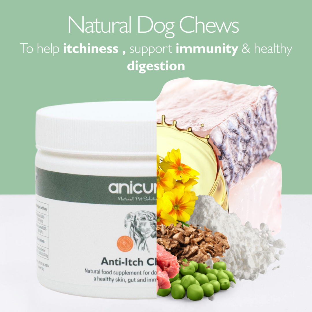 Anti-Itch Dog Chews