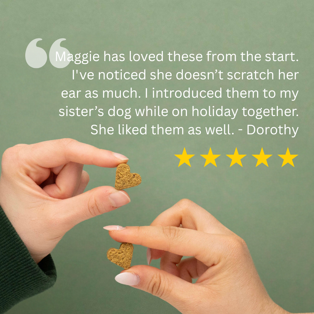 Anti-Itch Dog Chews Twin Pack