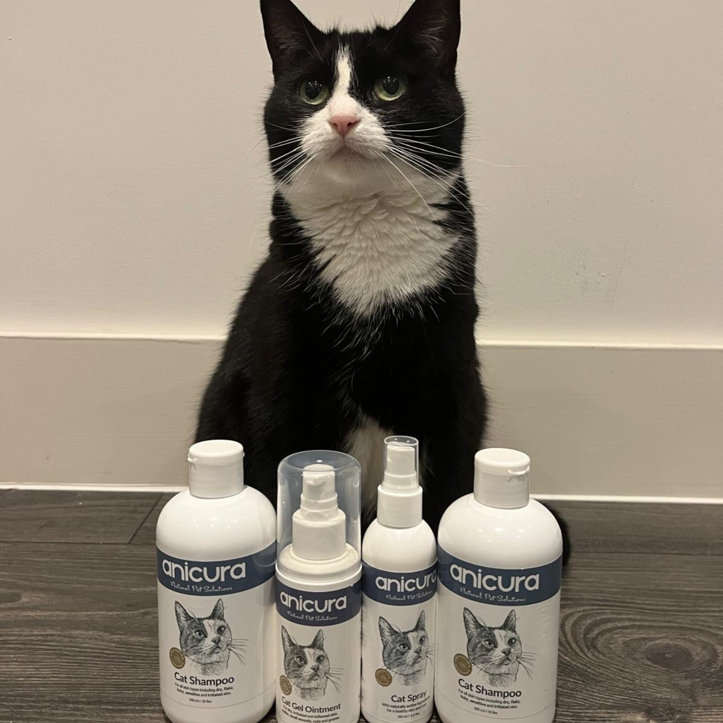 Ultimate Anti-Itch Bundle for Cats