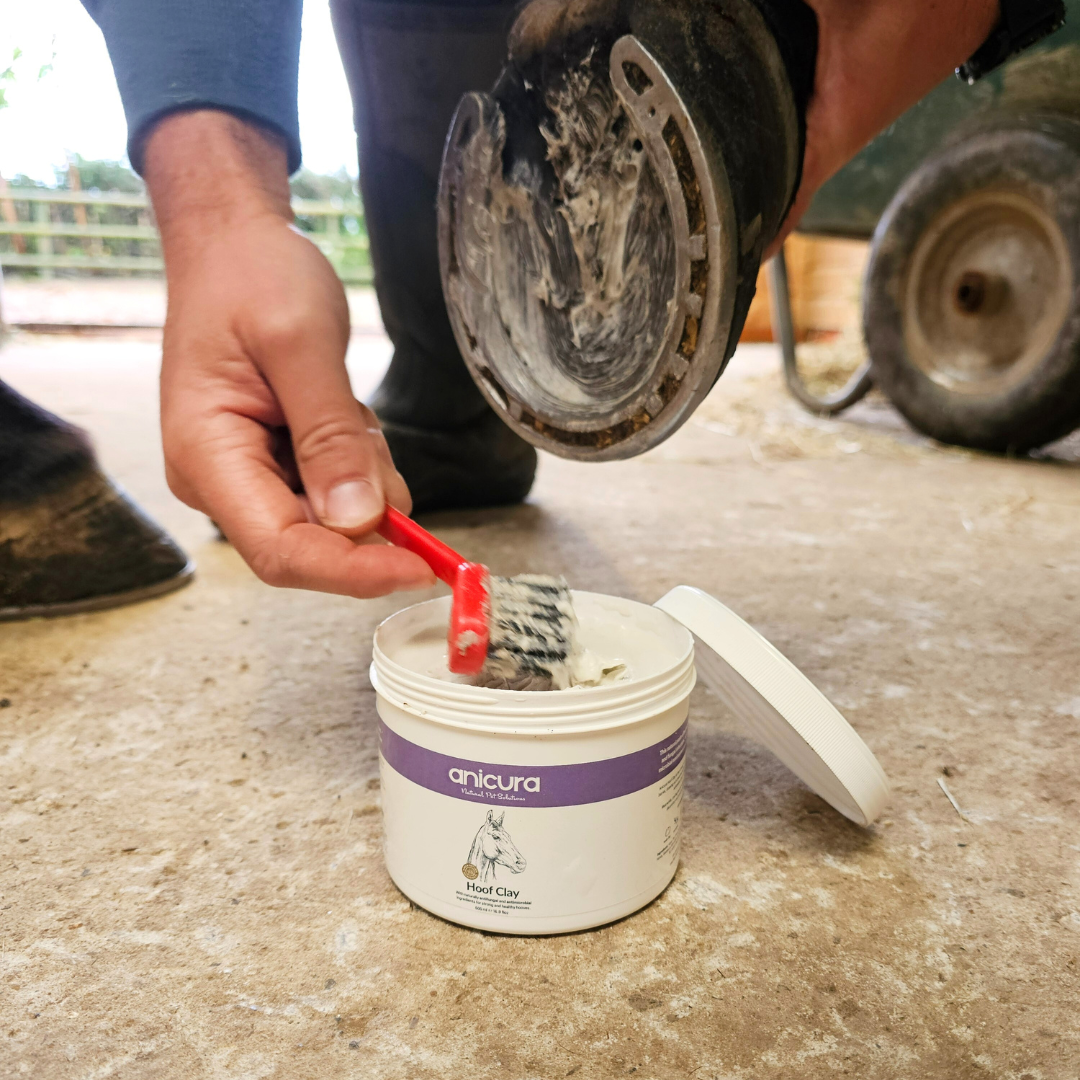 Hoof Clay