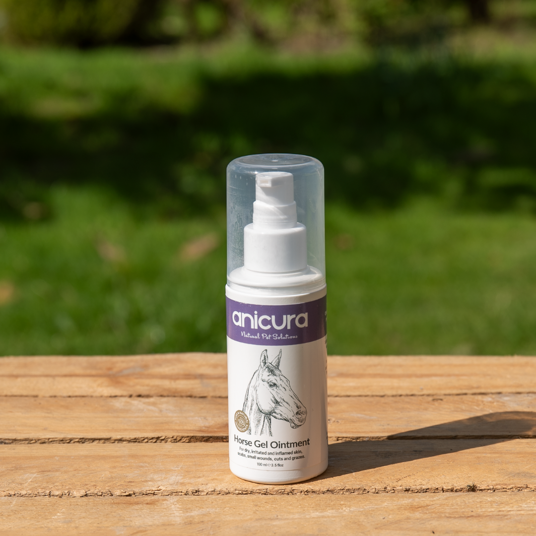 Horse Gel Twin Pack
