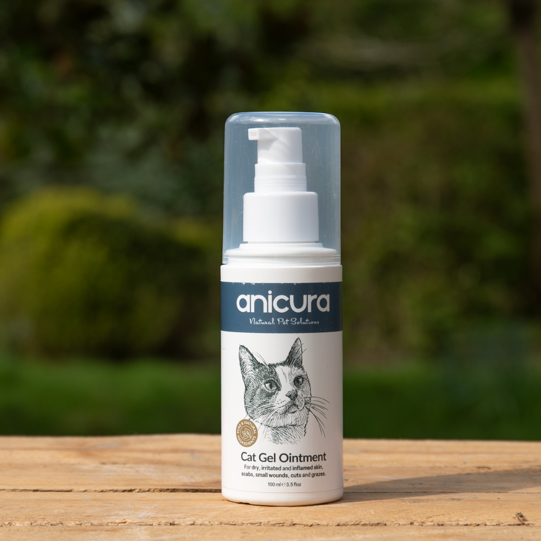 Cat Gel Twin Pack