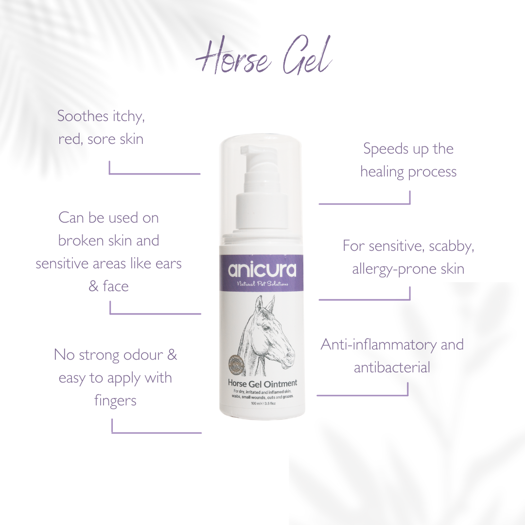 Horse Gel Twin Pack