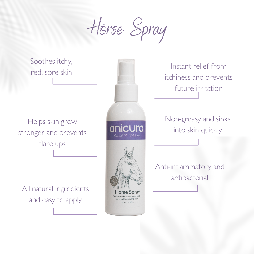 Horse Skin Rescue Bundle