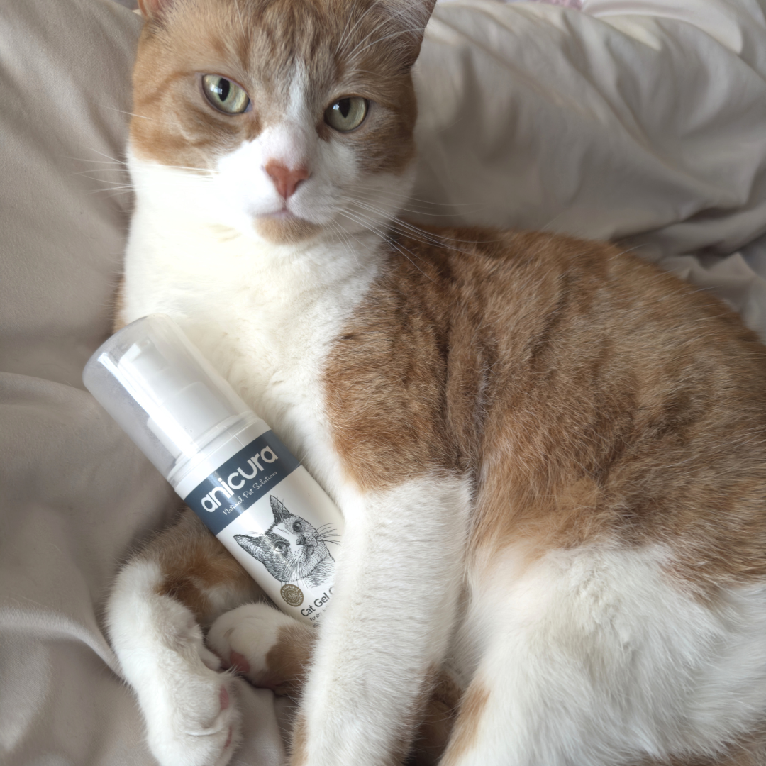 Cat Gel Twin Pack