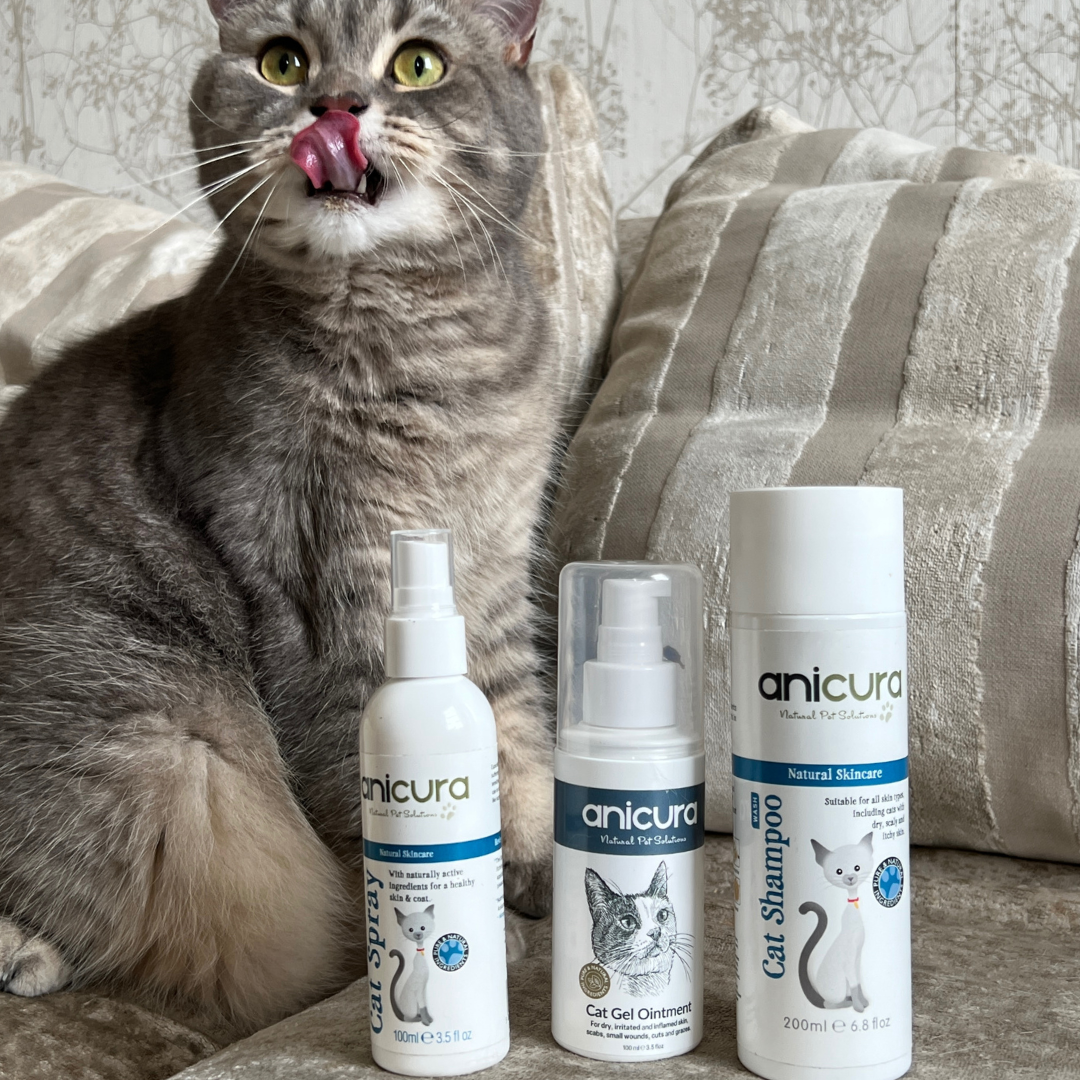 Cat Skin Rescue Bundle