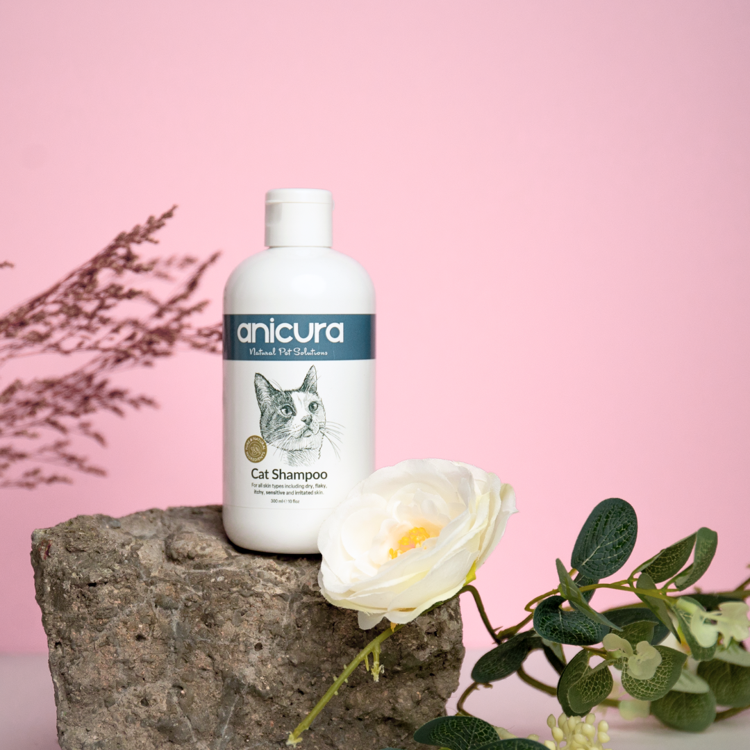 Dog Shampoo