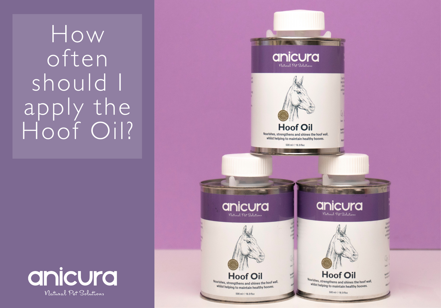 How often should I apply the Hoof Oil?
