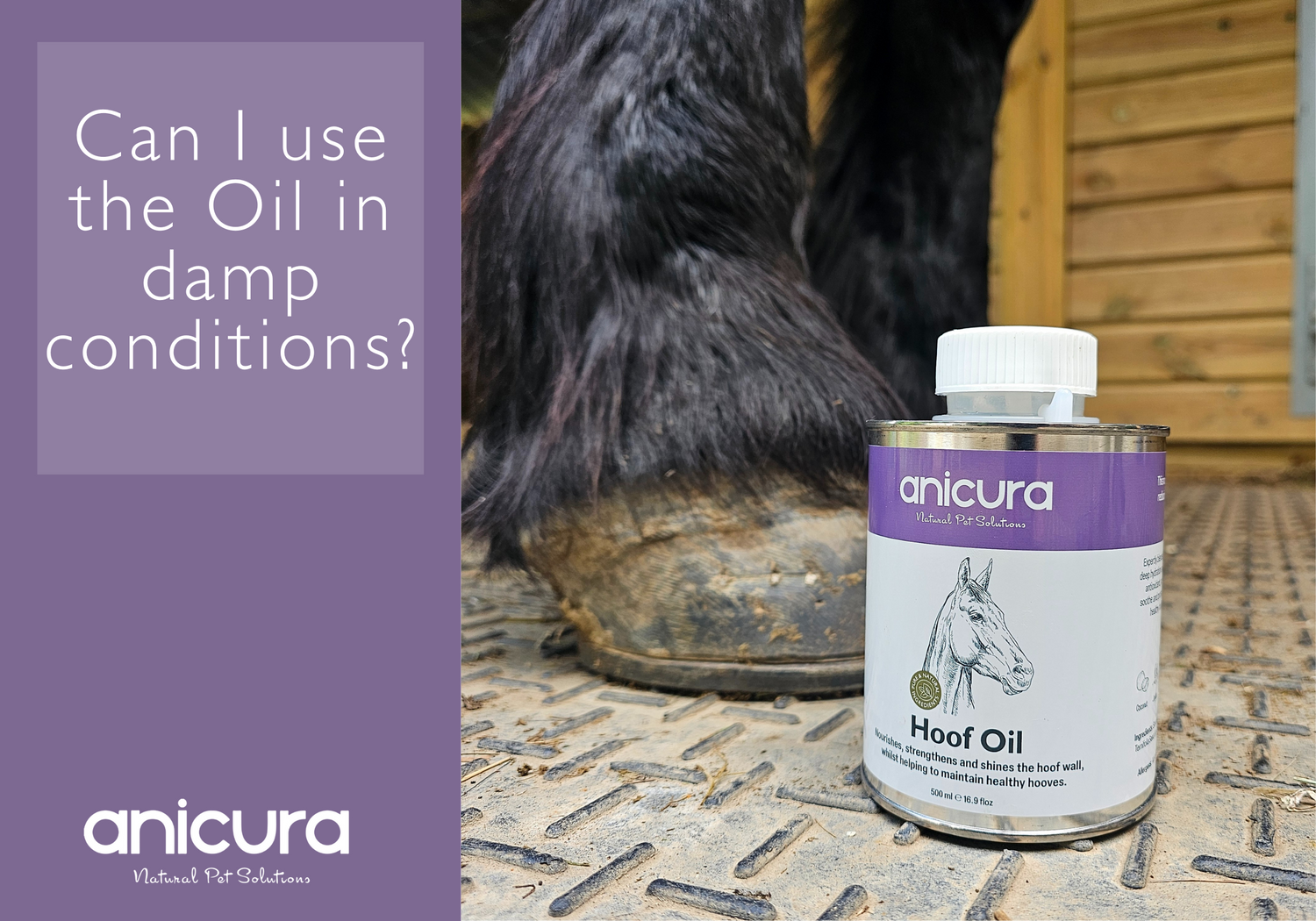 Can I use the Oil in damp conditions?