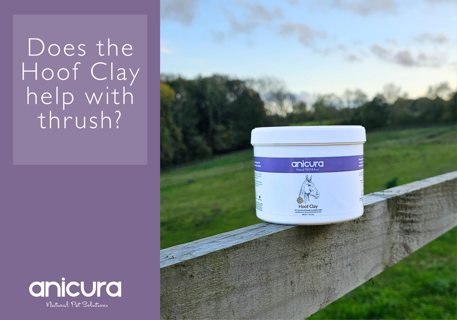 Does Hoof Clay help with thrush?