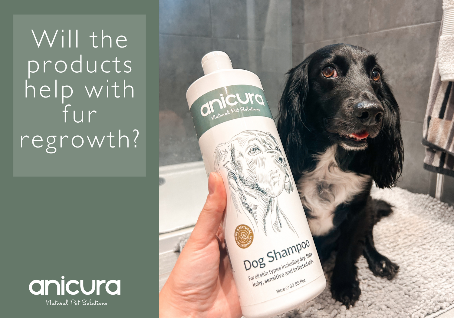 General Questions Anicura Natural Pet Solutions