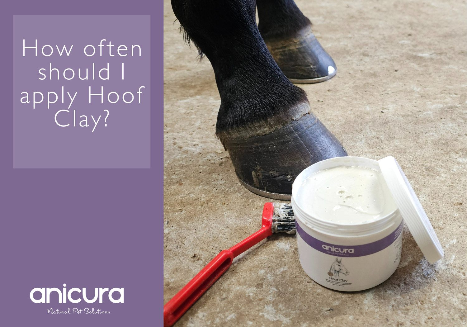 How often should I apply the Hoof Clay?