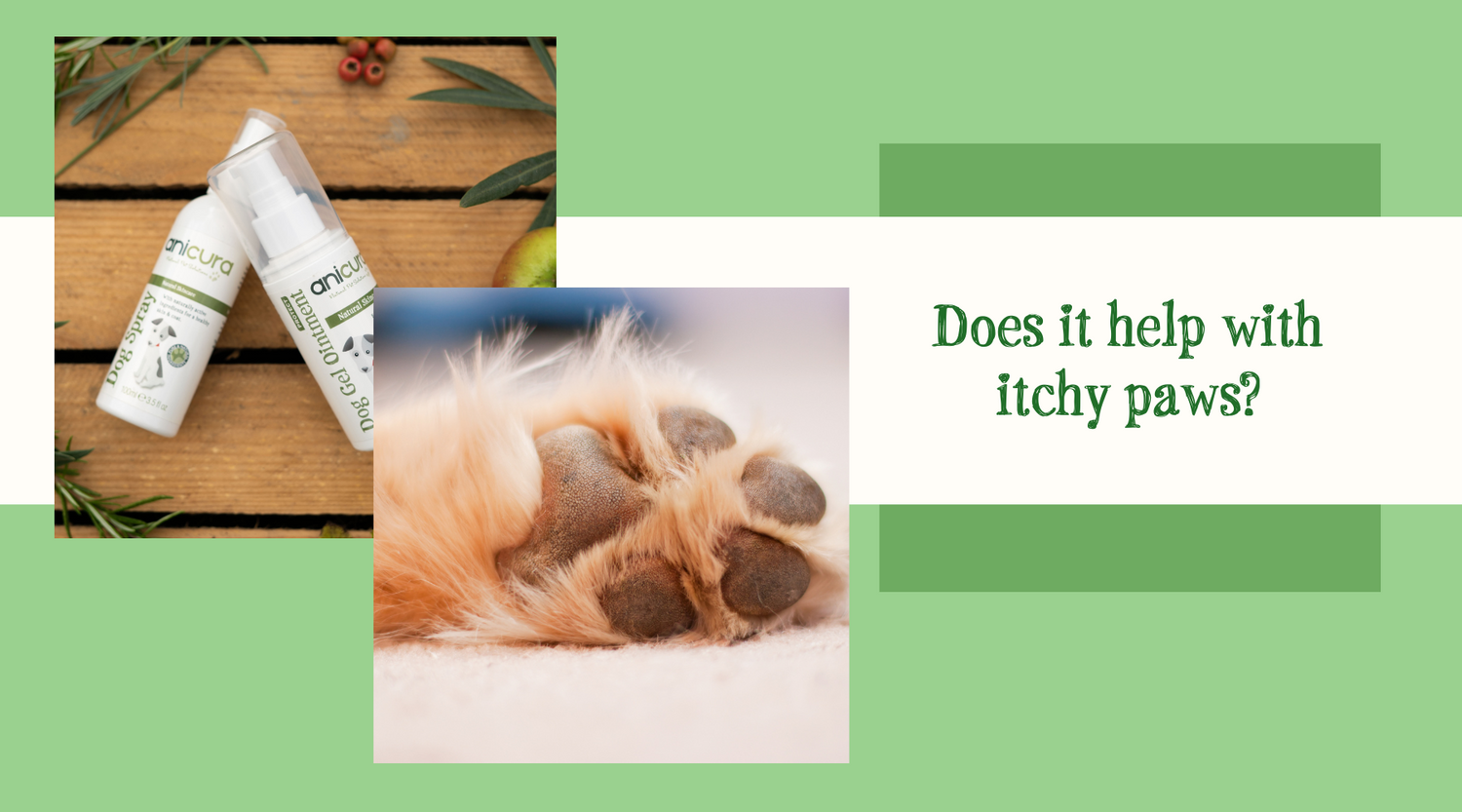 Skin Questions Anicura Natural Pet Solutions skin-questions-anicura-natural-pet-solutions