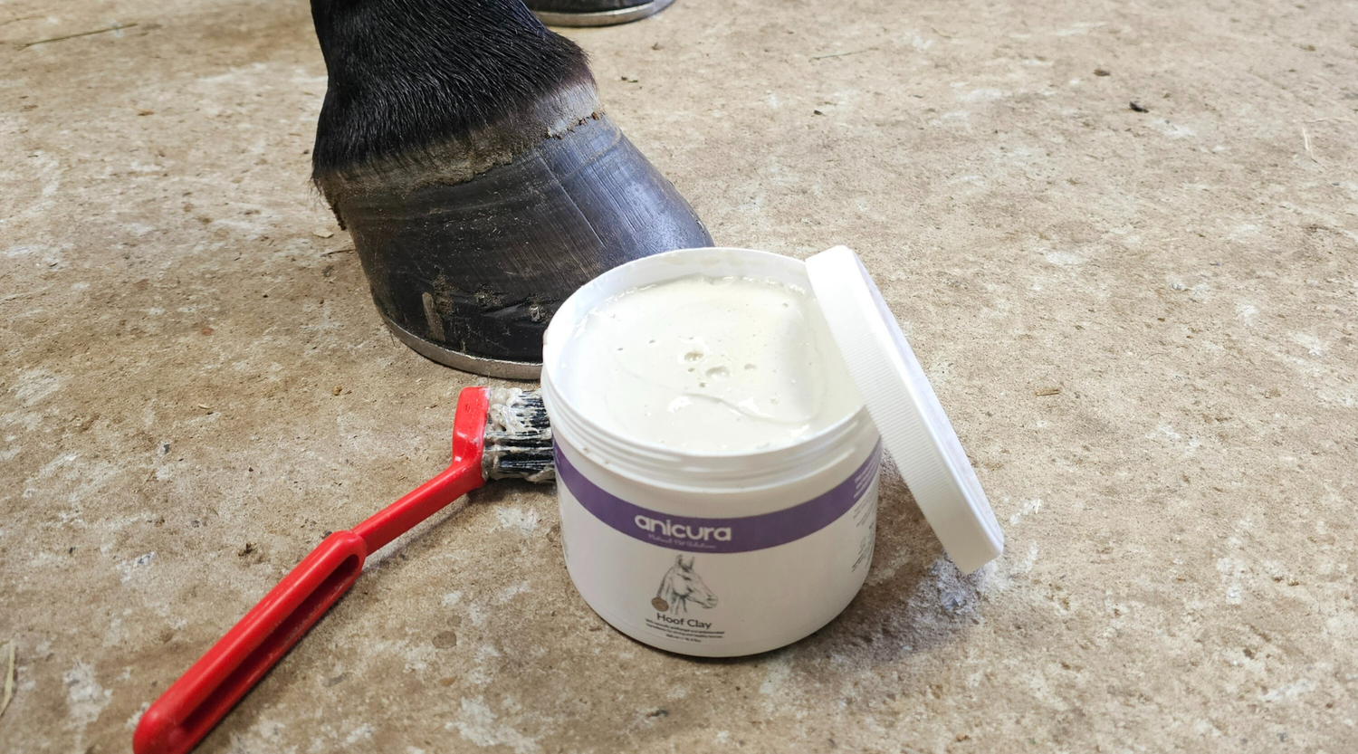 Re-Introducing our NEW Horse Hoof Clay