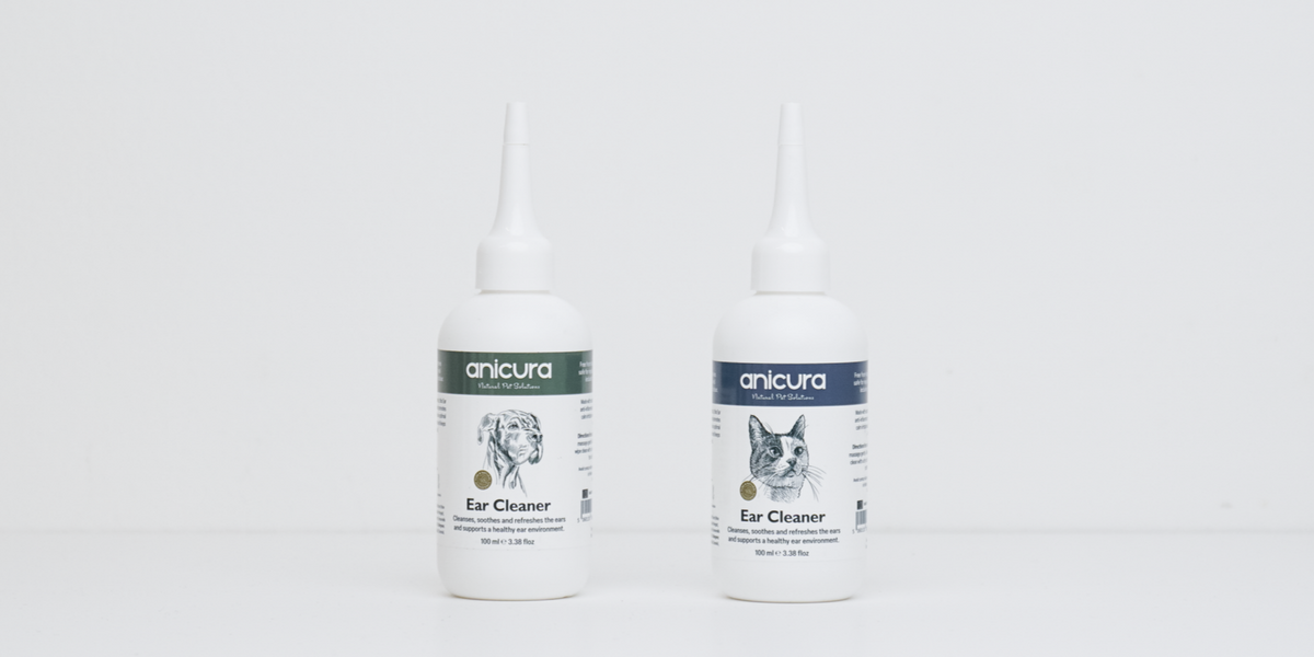 An Introduction to our Ear Cleaners
