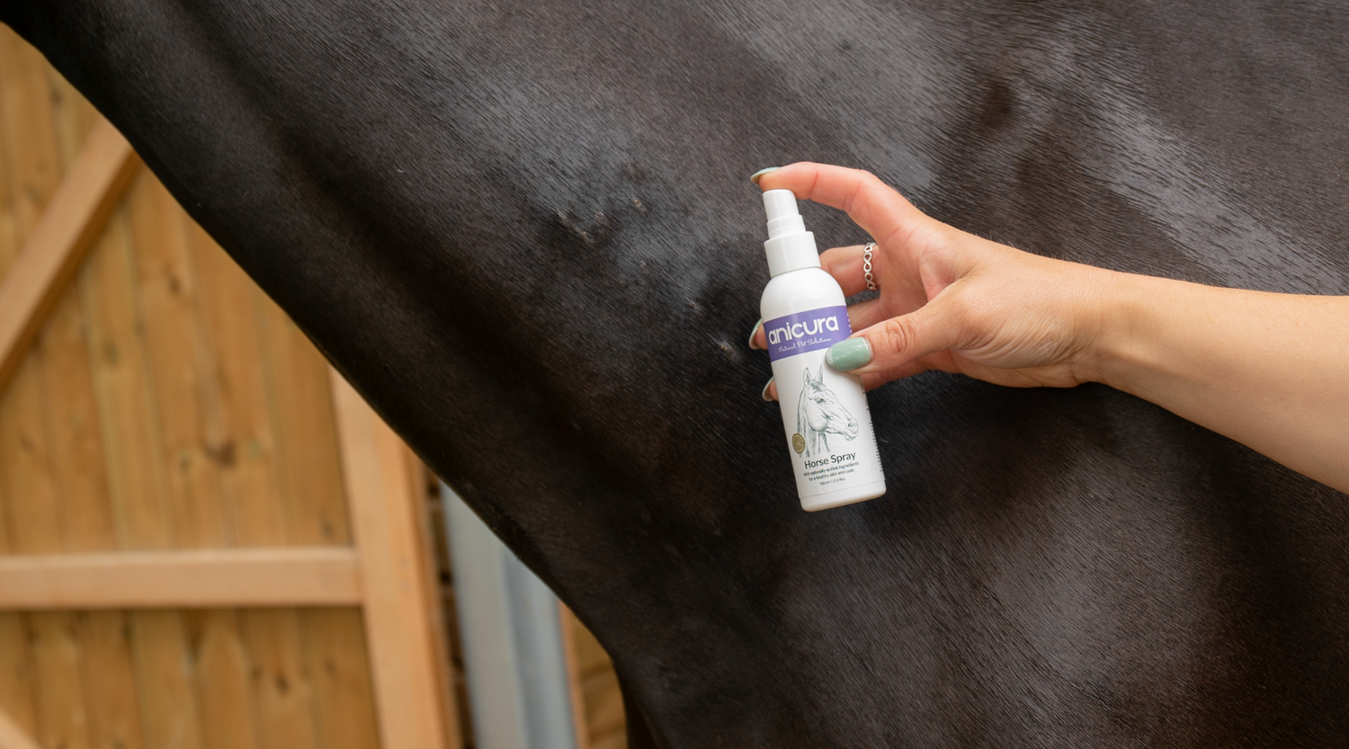 8 Tips To Keep Your Horse Cool