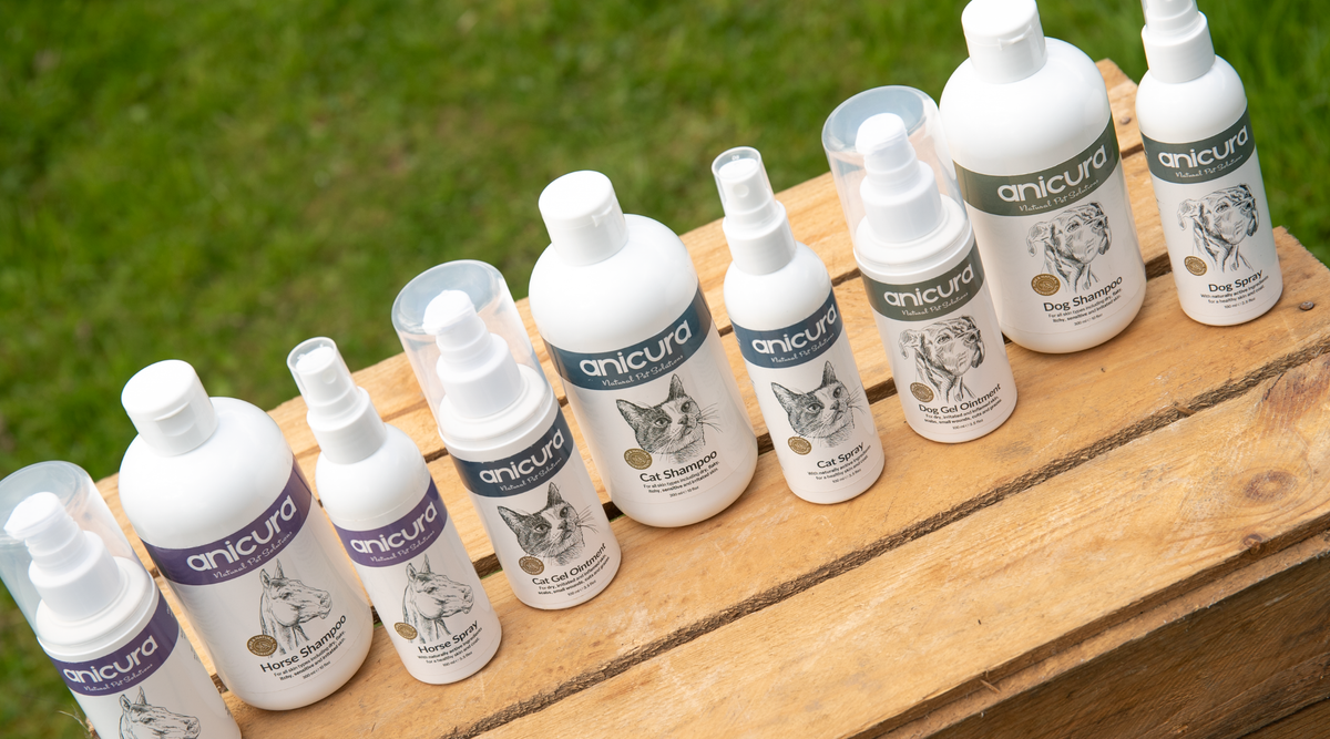 Shop 15% Off Horse Individual Products - affiliate