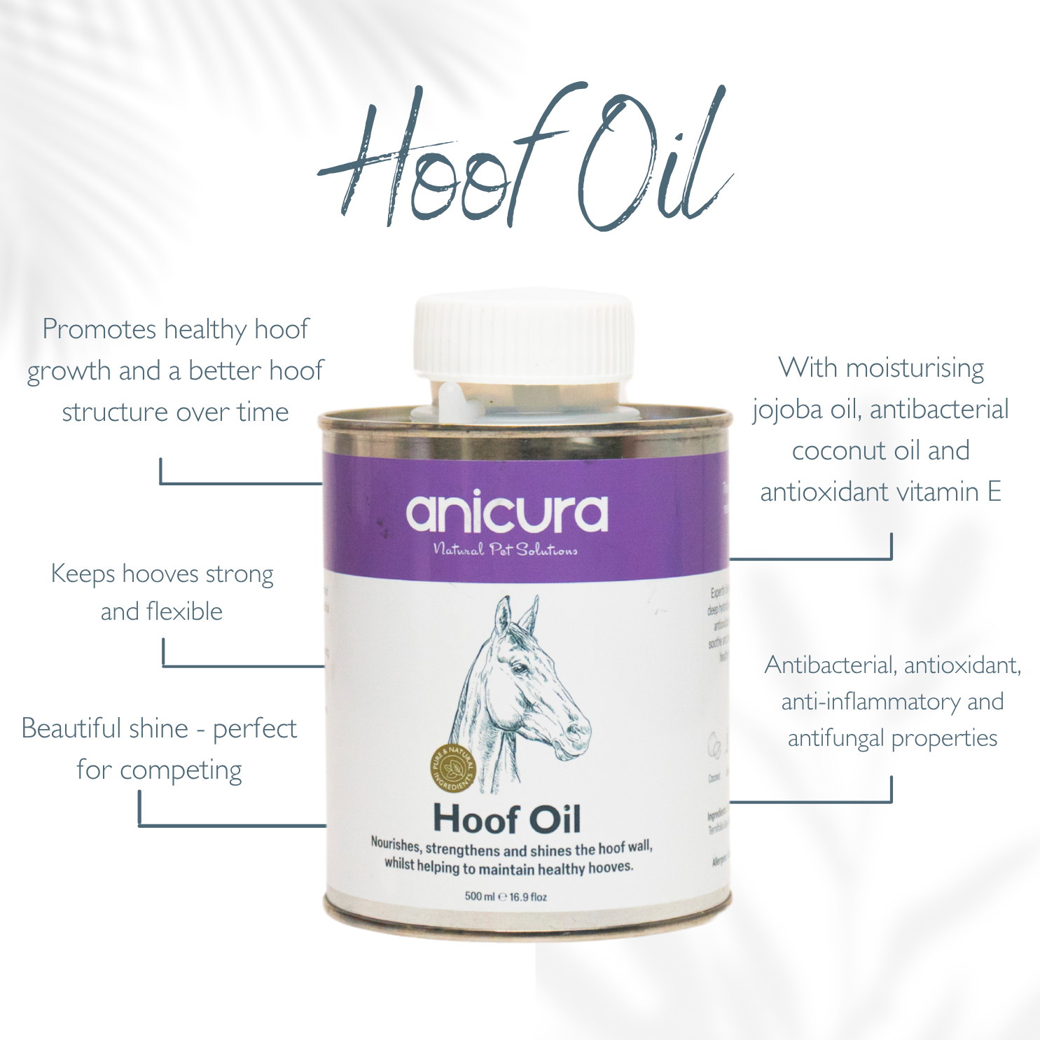 Hoof Oil