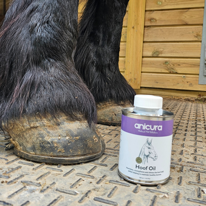 Hoof Care Duo