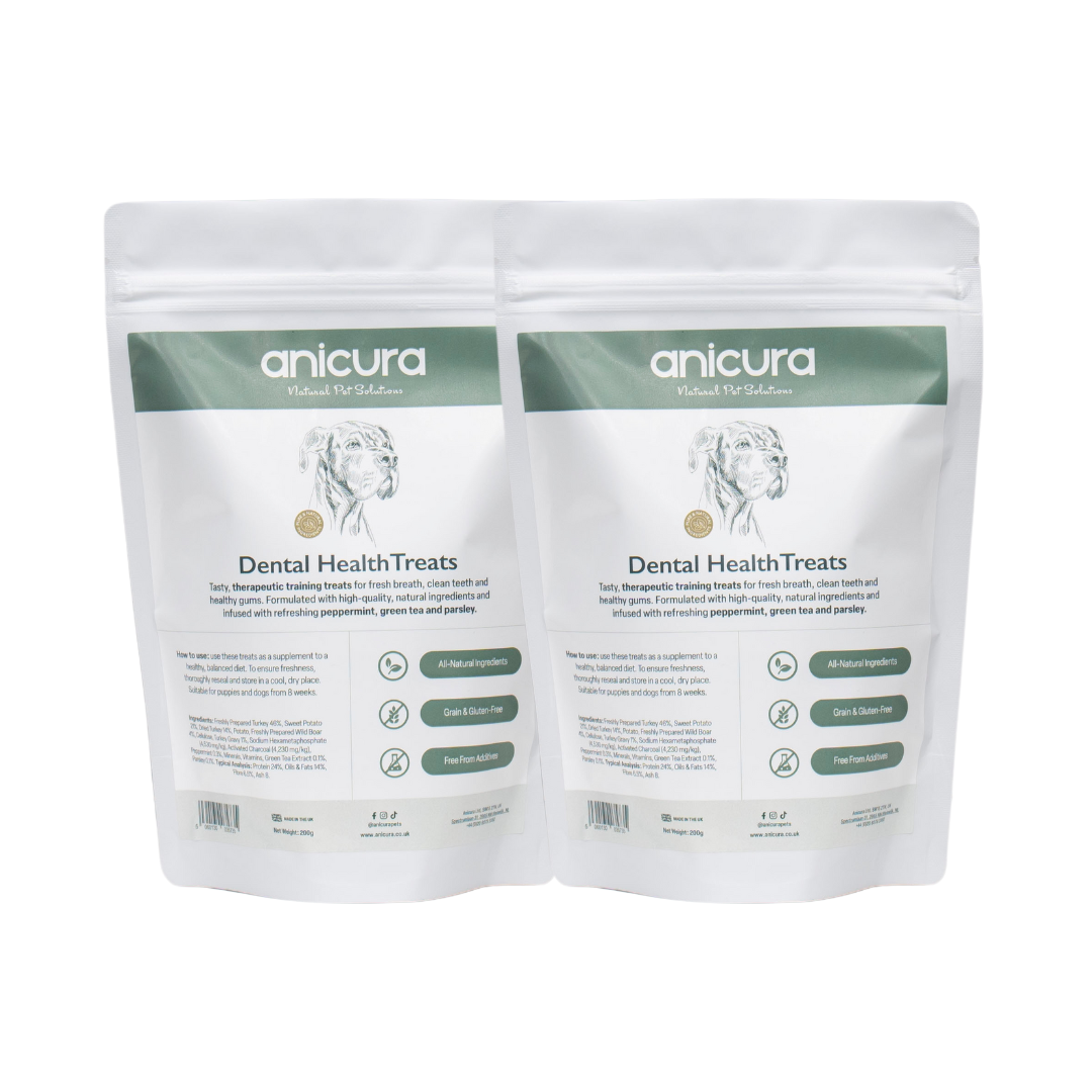 Dental Health Dog Treats (2 Pack)