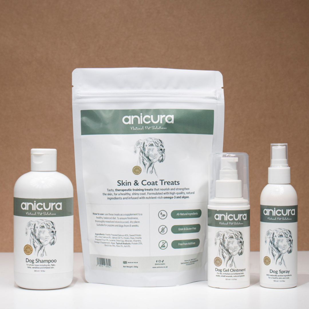Dog Skin & Coat Bundle
