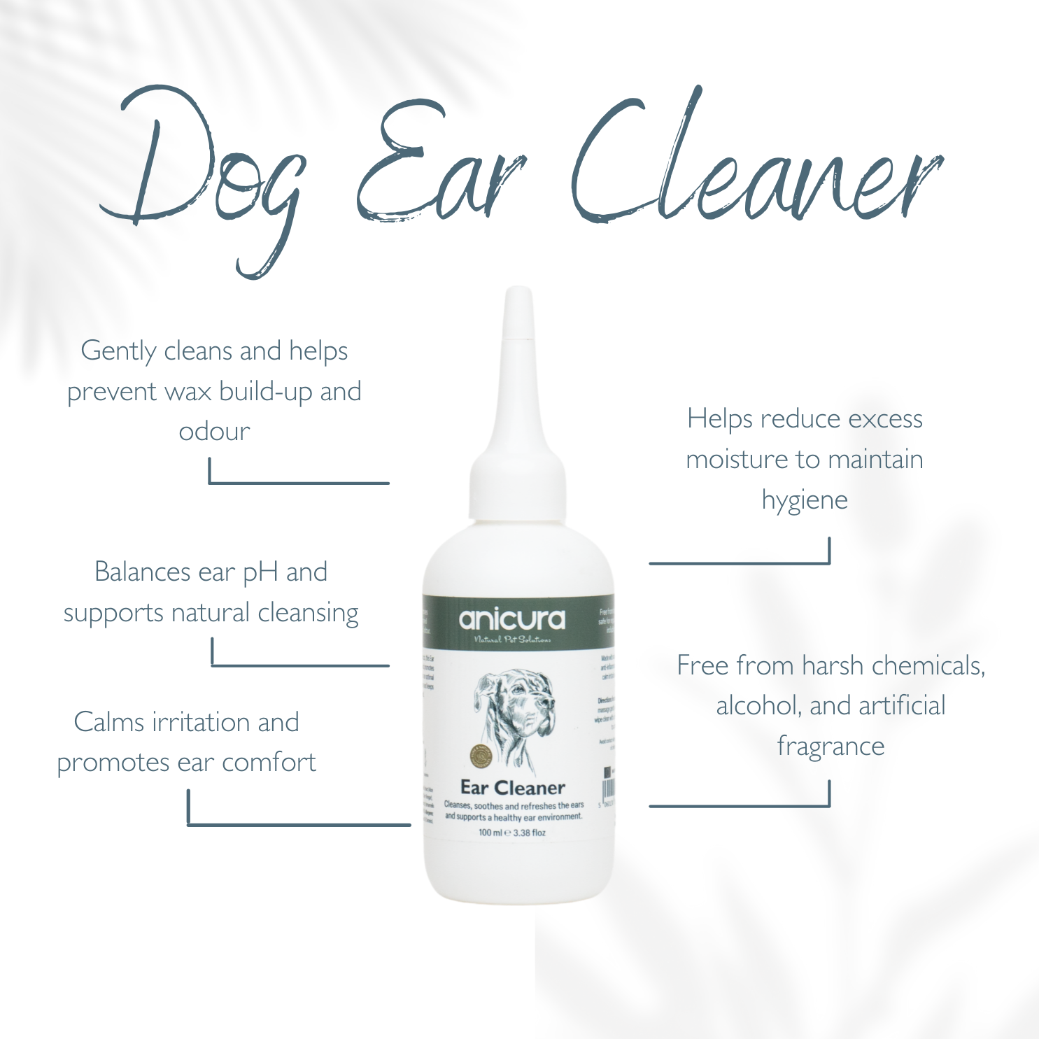 Natural Dog Ear Cleaner Recipes photo