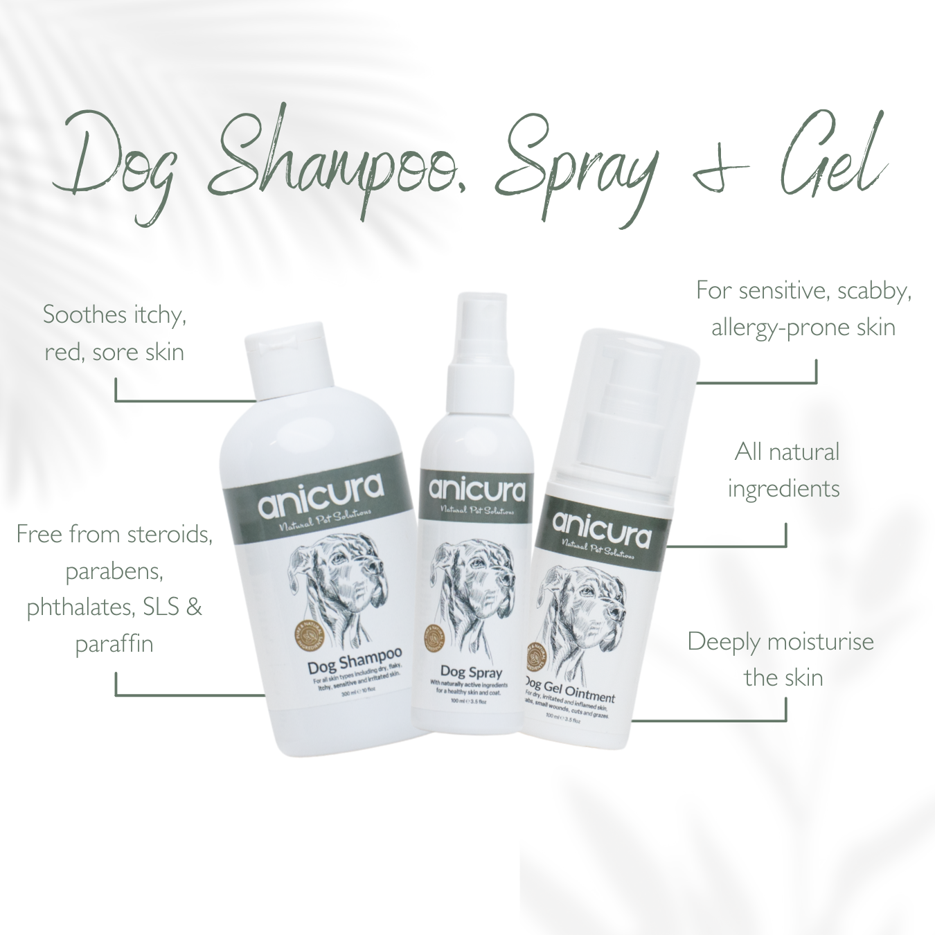 The Dog Total Care Gift - FREE Anti-Itch Chews &amp; Tote Bag!