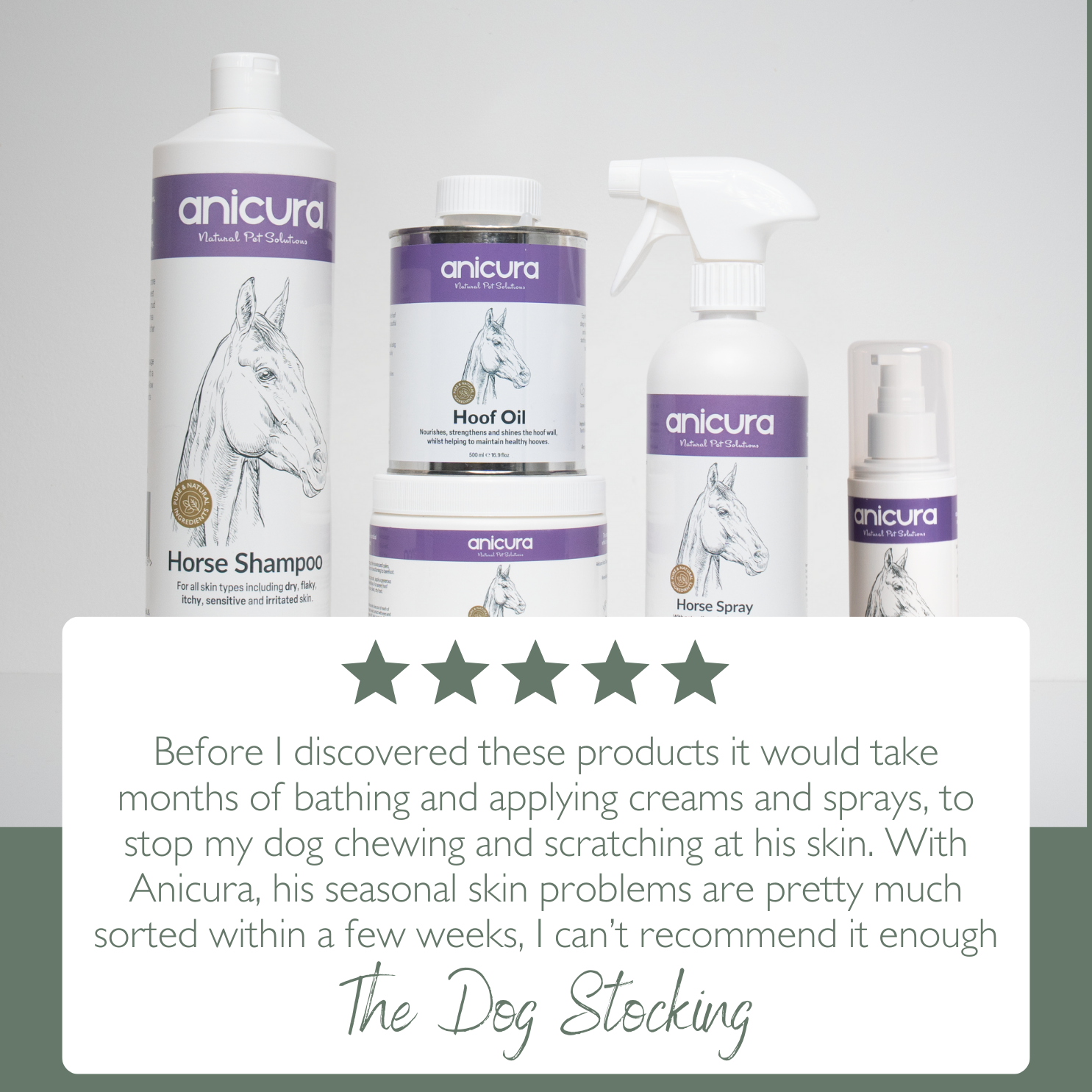 The Horse Stocking - FREE Hoof Oil &amp; Tote Bag!